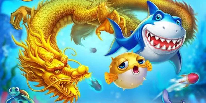 A comunidade do Pesca 889a compartilha dicas valiosas